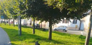 JUTROS U ORLJAVSKOJ: Pijan sletio pa udario u stup javne rasvjete i prometne znakove