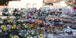 /FOTOGALERIJA/ Počela je prodaja cvijeća uoči Svih svetih iza Gradske kuće