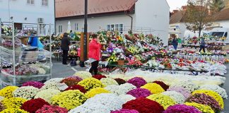 Od ponedjeljka 28. listopada započinje prodaja cvijeća iza Gradske kuće