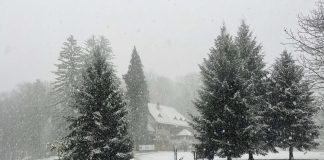 Snježna idila na Papuku: Prve snježne pahulje stigle do Jankovca