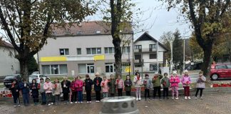 Cesarići obilježili sjećanje na žrtve Domovinskog rata, Vukovara i Škabrnje