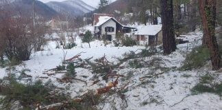 Božićna intervencija DVD-a Velika: Uklonjena srušena stabla