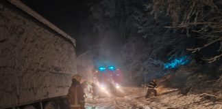 Vatrogasci uklanjanju stabla s prometnice na Krndiji