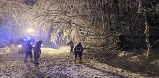 DVD Brestovac uklonio stabla i izvukao vozilo s ceste Kamenska-Zvečevo-Voćin