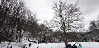 Park šuma Jankovac-najtraženija slavonska zimska destinacija