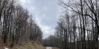 U šumi pronađeno minsko-eksplozivno sredstvo
