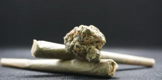 Na području Požege kod 36-godišnjaka pronađena marihuana