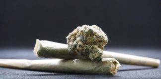 Kod dva 27-godišnjaka i u pretresu kuća u Velikoj i Kaptolu pronađena marihuana