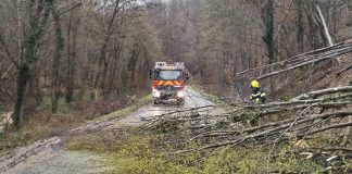 Srušeno drvo blokiralo cestu Jagodnjak-Gradski Vrhovci, vatrogasci brzo reagirali