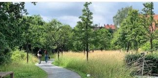 Apel svim gradovima i općinama RH: Odgodite košnju urbanih livada radi zaštite ugroženih oprašivača!