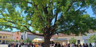 Održana tradicionalna manifestacija “Tata od formata”