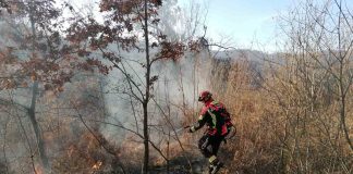 Nakon jutarnjeg spaljivanja trave, vjetar izazvao novi požar