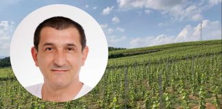 Demanti Gorana Kitanovića na otvoreno pismo Dubravka Kovačeca