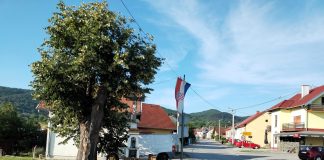 Miris lipe širi se gradom u lipnju