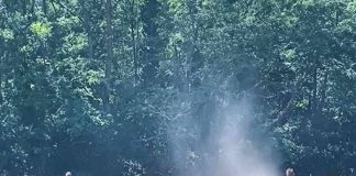 GUSTI DIM IZNAD RADOVANACA: Vatra prijetila šumi, intervenirali vatrogasci