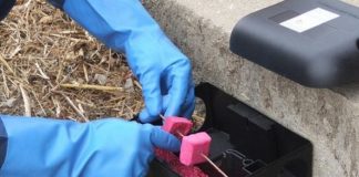 Obavijest o preventivnoj deratizaciji na području grada Požege