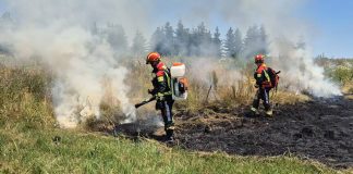 ZDRAV RAZUM ZAKAZAO? Unatoč zabrani, požari na otvorenom ne prestaju, dok priroda i vatrogasci plaćaju cijenu