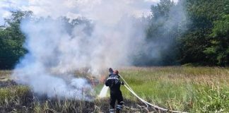 Zbog spaljivanja biljnog otpada 65-godišnjak zaradio prekršajni nalog, u Dragi gorjela suha trava