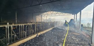 Veliki požar u Žigerovcima: Vatrogasci gasili staju, livadu i šumu više od četiri sata