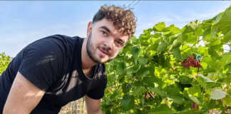 Erasmus student Pierrick Thibault: od Studentskog doma do vinograda Vinum Academicum