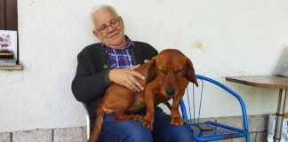 U Pitomači pronađen skupocjeni pas koji je nestao kod Požege. Evo kako je lociran