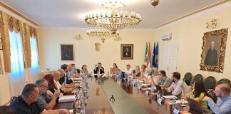 Tematska sjednica Gradskog vijeća Grada Požege