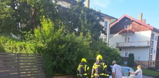 Požar osobnog vozila brzom intervencijom lokaliziran
