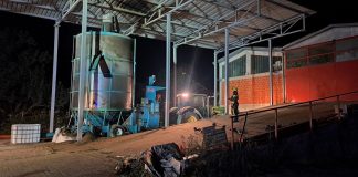 UTVRĐEN UZROK POŽARA U ALAGINCIMA: Plamenik zapalio suncokret u silosu