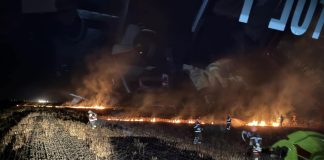 U požaru kraj Kaptola izgorjela suha trava i raslinje