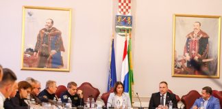 Požeško-slavonska županija i dalje izvan zona ograničenja, stožer predstavio nove mjere zaštite od afričke svinjske kuge