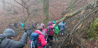 Papuk spaja – HPD „Sokolovac“ Požega među 250 sudionika na Danu planina