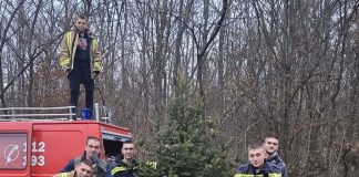 DVD Sulkovci nastavlja tradiciju kićenja božićnog drvca: ‘Svaki ukras simbol je našeg zajedništva’