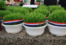 Danas je blagdan sv. Lucije