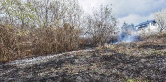 Spaljivao lozu pa izazvao požar