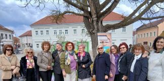 Održana manifestacija ‘Peićevci i škole proljeću’