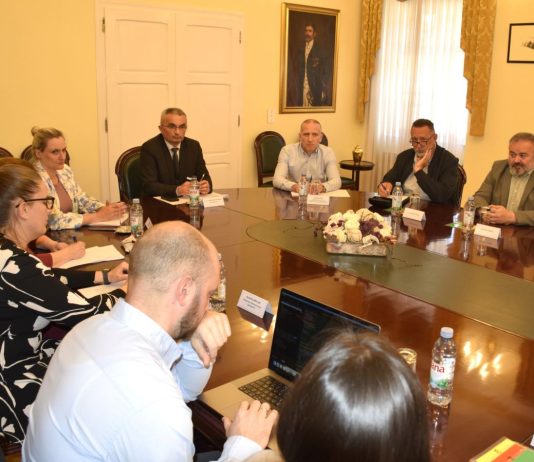 SJEDNICA GRADSKOG VIJEĆA Požeško predstavničko tijelo odlučilo – izbori za vijeća mjesnih odbora održat će se 7. lipnja