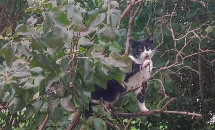 a222f004-1e90-435d-ab52-1be477d5d2b7