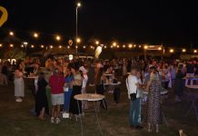 Gin tonic, Plantonik i odlična glazba: Stiže šesto izdanje Gin tonic partyja u Zlatnom Lugu