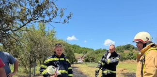 Požari na otvorenom prostoru u Sulkovcima i Cerovcu: Vatrogasci brzo ugasili vatru i uputili apel mještanima