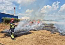 U požaru izgorjela suha trava i nisko raslinje