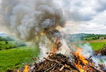 POŽAR NA SAJMIŠTU: Spaljivao biljni otpad unatoč strogoj zabrani paljenja na otvorenom