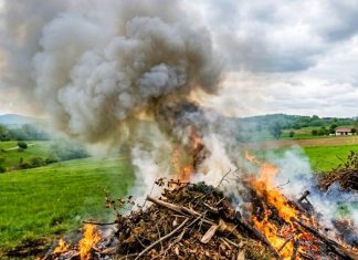 POŽAR NA SAJMIŠTU: Spaljivao biljni otpad unatoč strogoj zabrani paljenja na otvorenom