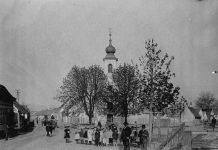 SPOMENDAN SV. ROKA: Znate li zašto je Požežanima posebno važan ovaj svetac?