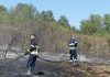 Četvrtak u znaku požara, gorjela suha trava i nisko raslinje