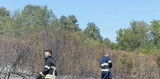 Četvrtak u znaku požara, gorjela suha trava i nisko raslinje