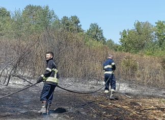 Četvrtak u znaku požara, gorjela suha trava i nisko raslinje