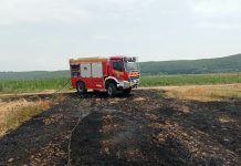 Unatoč zabrani palio otpad u vinogradu: 70-godišnjaku iz Pleternice slijede dvije prijave