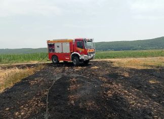 Unatoč zabrani palio otpad u vinogradu: 70-godišnjaku iz Pleternice slijede dvije prijave