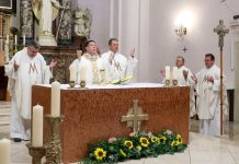 Misa za Domovinu u požeškoj Katedrali