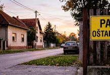 Pas bez nadzora ugrizao maloljetnicu
